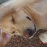 DSC03047